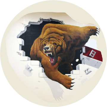 Marino Bears Logo