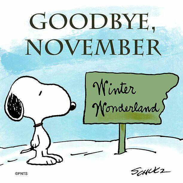 Goodbye November