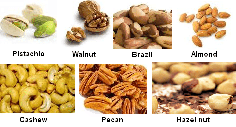 Pic of different types of nuts: Pistaschio, Walnut, Brazil, Almond, Cashew, Pecan and Hazelnut