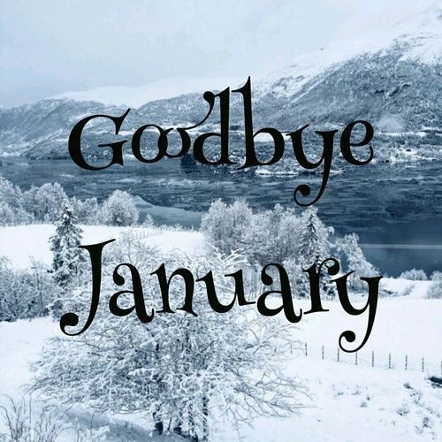 Goodbye January